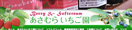 ウェブサイト制作 - あさむら いちご園